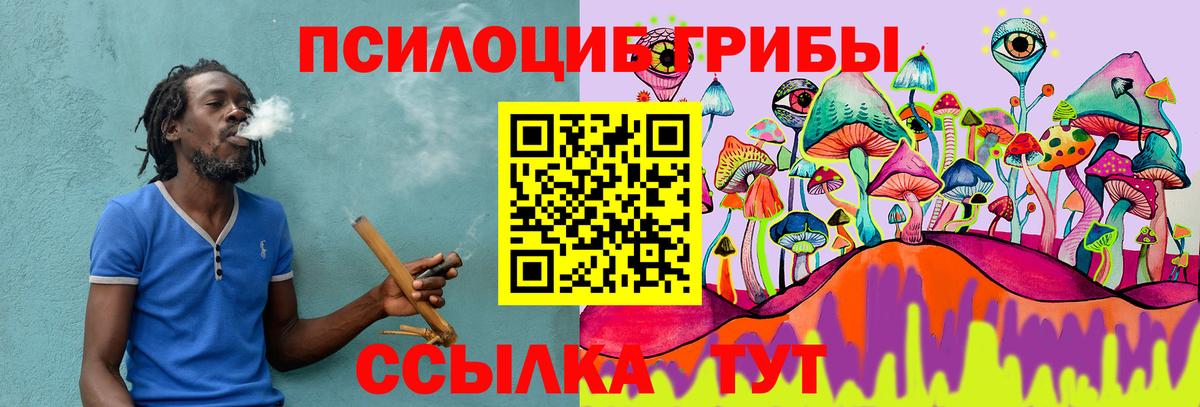 Галлюциногенные грибы Magic Shrooms  Вход с VPN  Слободской  Галлюциногенные грибы Cubensis 